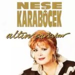 Neşe Karaböcek Yılbaşı Konser Fiyatı,