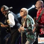 Mfö Grubu Booking Menajerlik Şirketi,