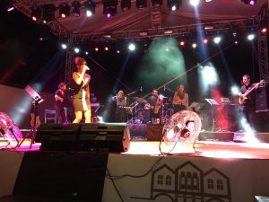 irem derici konserde küfretmiş,