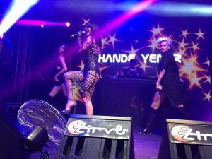 hande yener konser ücreti,