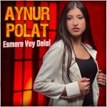 Aynur Polat konser iletişim,