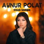 şarkıcı Aynur Polat konser talep formu,