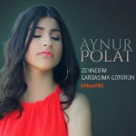 Aynur Polat menajerlik hizmetleri,