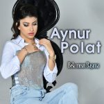 Aynur Polat konser organizasyonu,