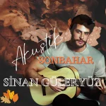 Ünlü şarkıcı Sinan Güleryüz konser talep formu,